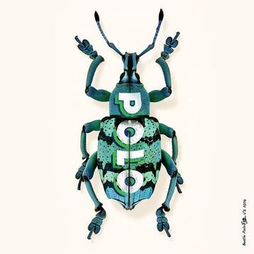 F2B - Beetle Polo 1I8