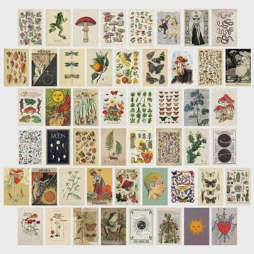 50 Stuks Esthetische Botanische Muurdecoratie Set: Planten,, Verzenden, Gelopen