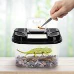 Terrarium voor reptielen en amfibieën, transparante kunststo, Dieren en Toebehoren, Reptielen en Amfibieën | Toebehoren, Verzenden