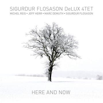 cd - Sigurdur Flosason DeLUX 4TET - Here And Now, Verzenden, Zo goed als nieuw