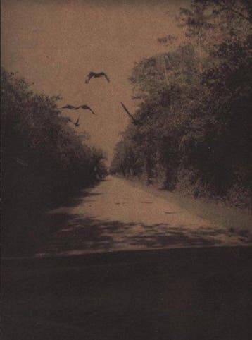 Bert Teunissen - on the Road, Everglades, Ophalen of Verzenden, Nieuw