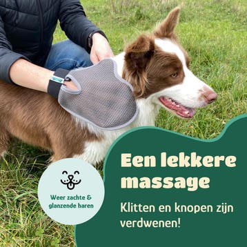 Mister Mill Dierenborstel Handschoen (Rechtshandig) -, Dieren en Toebehoren, Ophalen of Verzenden, Zo goed als nieuw