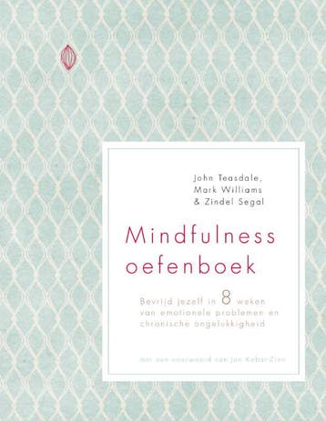 Mindfulness oefenboek - John Teasdale 9789057124044, Boeken, Verzenden, Gelezen, John Teasdale