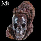 Schedel in natuurlijke limoniet – Ambachtelijke sculptuur -