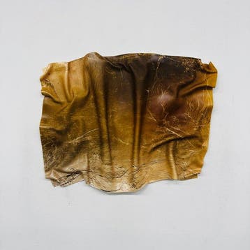 Soyz Bank (1988) - SUPRA Gold – Aged Texture