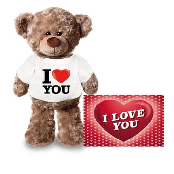 Teddybeer knuffel - pluche - 24 cm - met shirt - A5-kaart, Verzenden, Nieuw
