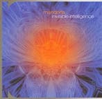 cd - Mandorla - Invisible Intelligence, Verzenden, Zo goed als nieuw