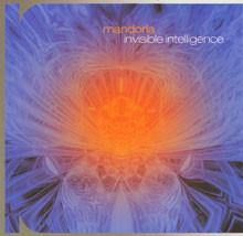 cd - Mandorla - Invisible Intelligence, Cd's en Dvd's, Cd's | Overige Cd's, Zo goed als nieuw, Verzenden