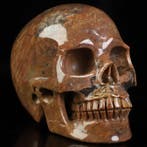 World Rarity 909! g 12.00 x 9.00 cm XXL AA dinosaurus