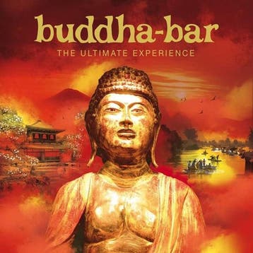 cd - various artists - BUDDHA BAR - THE ULTIMATE EXPERIEN..., Verzenden, Zo goed als nieuw