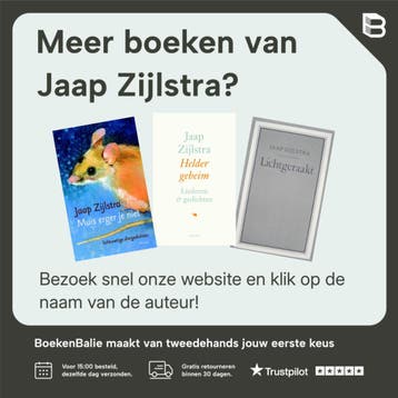 In een ander licht 9789043513388 Jaap Zijlstra, Verzenden, Zo goed als nieuw, Jaap Zijlstra