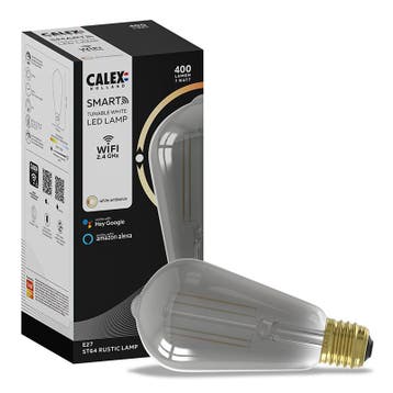 Calex Smart LED Lamp Edison Titanium E27 7W 400lm ST64, Huis en Inrichting, Lampen | Losse lampen, Ophalen of Verzenden, Nieuw