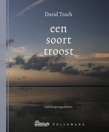 Een soort troost / Wablieft - David Troch 9789464342376, Verzenden, Gelezen, David Troch
