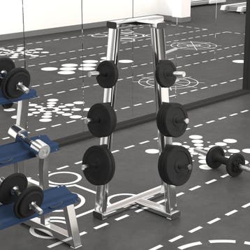 vidaXL Halterschijven 6 st 30 kg gietijzer, Sport en Fitness, Fitnessmaterialen, Verzenden, Nieuw