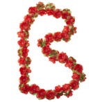 BASIL Bloemenstreng Garland  RED (Tassen, manden en kratten), Fietsen en Brommers, Ophalen of Verzenden, Nieuw, Overige merken