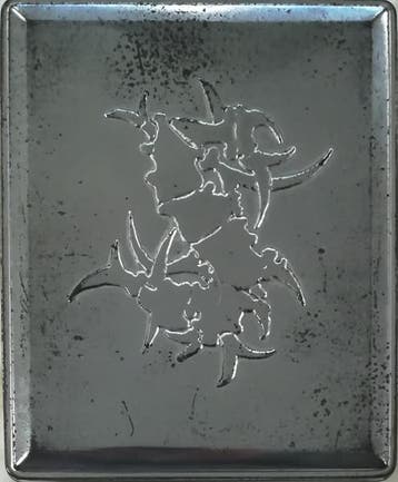 cd box - Sepultura - Chaos A.D., Verzenden, Zo goed als nieuw