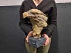 Beeld, Large Eagle Head - 28 cm - mgo