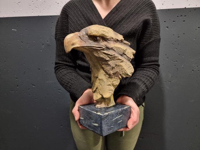 Beeld, Large Eagle Head - 28 cm - mgo, Antiek en Kunst, Curiosa en Brocante