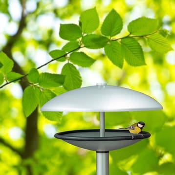 Vogelhuis rond met bolle kap, tijdloos modern, Verzenden, Nieuw