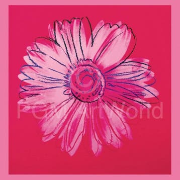 Kunstdruk Andy Warhol - Daisy 1982 90x90cm, Verzenden, Nieuw