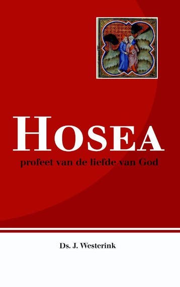 Hosea / Telos / nr. 219 - J. Westerink 9789060645352, Verzenden, Zo goed als nieuw, J. Westerink