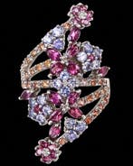 Zilver, Het Jardin dIris – Ring met Tanzaniet en Saffier