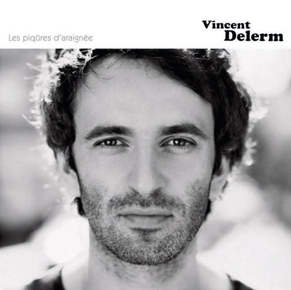 cd - Vincent Delerm - Les PiqÃ»res DAraignÃ©e, Cd's en Dvd's, Cd's | Overige Cd's, Zo goed als nieuw, Verzenden