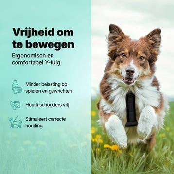 2dekans | Jake and Jacky Hondentuigje Hond Medium -, Ophalen of Verzenden, Zo goed als nieuw