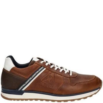 Gaastra Kevan lage sneakers voor heren in het Cognac, Gaastra, Overige kleuren, Verzenden, Nieuw