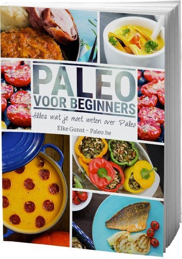 Paleo voor beginners - Elke Gunst 9789082481204, Boeken, Verzenden, Gelezen, Elke Gunst