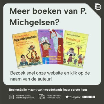 Het torengeheim 9789045101798 P. Michgelsen, Verzenden, Gelezen, P. Michgelsen