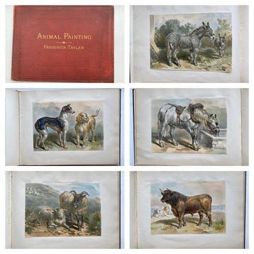 Frederick Tayler - Animal Painting - 1885