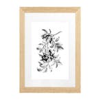 Vintlux Fotolijst Vesterby Massive Dubbelglas - Eiken Ongel, Nieuw