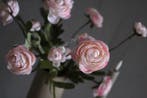 Zijden bosje Ranonkels pastel roze 52 cm, Ophalen of Verzenden, Nieuw