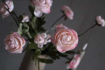 Zijden bosje Ranonkels pastel roze 52 cm, Ophalen of Verzenden, Nieuw
