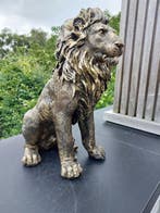 Beeld, statue of golden bronze lion - 45 cm - polyresin