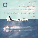 Various - Mind The Gap Vol. 1, Ophalen of Verzenden, Gebruikt