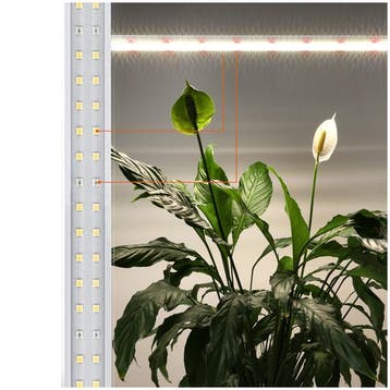 LED kweeklamp Kobi Growly 15W 60cm, Ophalen of Verzenden, Nieuw