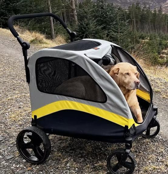 Honden- en Kattenwagen – Opvouwbare 4-Wiel Buggy voor Reizen, Dieren en Toebehoren, Honden-accessoires, Nieuw, Verzenden