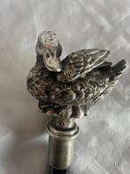 Wandelstok - Hout, Messing, Zilver gelamineerd - Eend, Antiek en Kunst