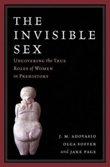 The Invisible Sex 9781598743906 J. M. Adovasio, Verzenden, Zo goed als nieuw, J. M. Adovasio