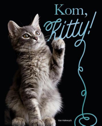 Kom, Kitty! - Nicola Jane Swinney 9789461319432, Verzenden, Zo goed als nieuw, Nicola Jane Swinney