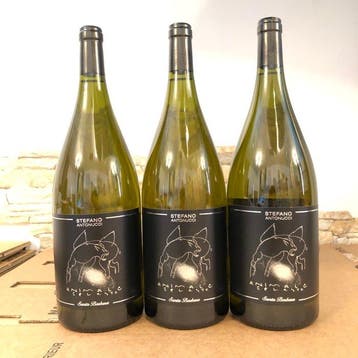 2025 Santa Barbara, Stefano Antonucci, Animale Celeste -, Nieuw
