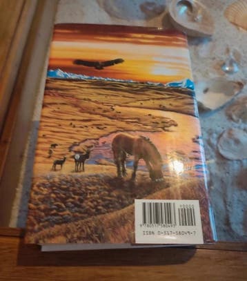 Jean M. Aeul - the plains of the passage - first edition, Boeken, Gelezen, Jean M. Aeul