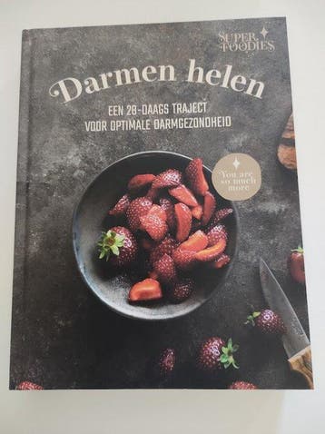 Darmen helen - een 28-daags traject voor optimale, Verzenden, Zo goed als nieuw, Patricia Lautenschutz