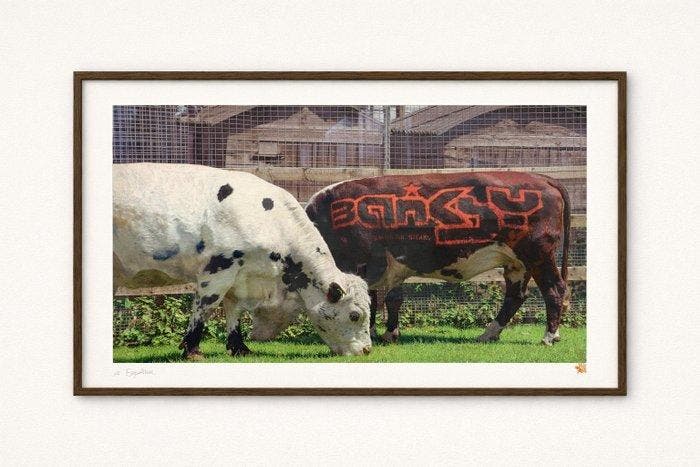 Banksy (1974) - How to get ahead in advertising - Steve, Antiek en Kunst, Kunst | Designobjecten