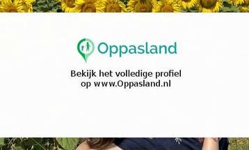 Anneke zoekt een oppas in Malden voor 2 kinderen op maand..., Vacatures, Vacatures | Juridisch en Fiscaal