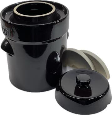 Startpakket fermenteren 2 liter (Bruin-Modern), Verzenden, Nieuw