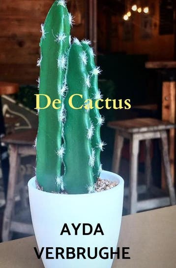 De Cactus | Ayda Verbrughe | Nieuw, Boeken, Ophalen of Verzenden, Nieuw, Ayda Verbrughe