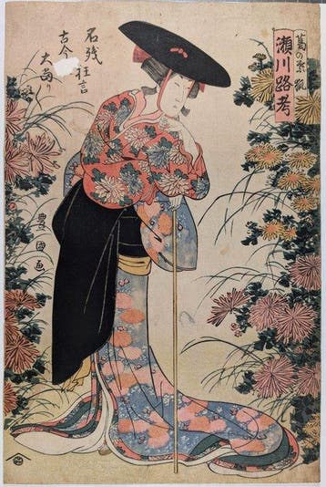 De Vosmoeder Kuzunoha | Hetzelfde ontwerp in het Tokio